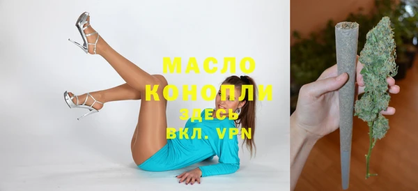 дмт Абаза