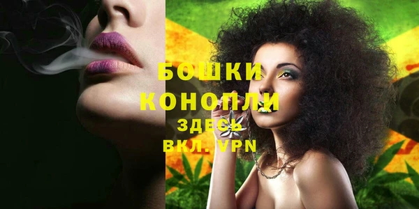 крисы Наволоки