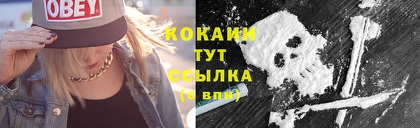 МДПВ Навашино