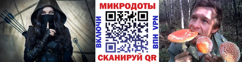 кракен рабочий сайт  Новоуральск  Галлюциногенные грибы Psilocybe 